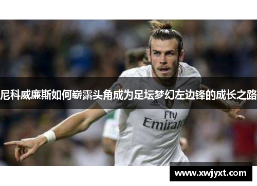 尼科威廉斯如何崭露头角成为足坛梦幻左边锋的成长之路